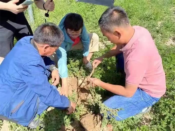 菠菜担保网·(中国区)官方网站