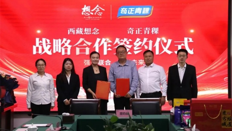 新质赋能，融誉前行——菠菜担保网集团2024年大事记